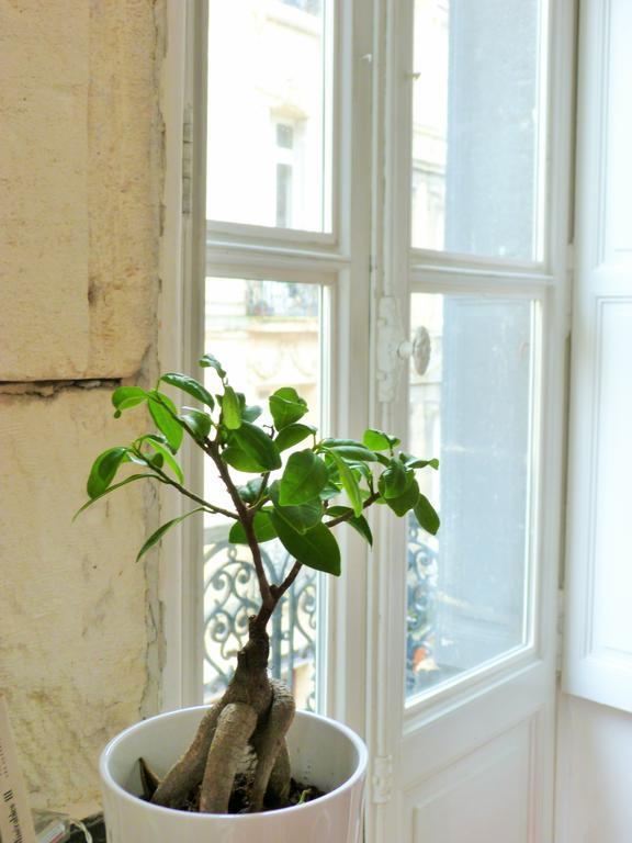 L'Appart D'Oli Et Tiane Bordeaux Oda fotoğraf